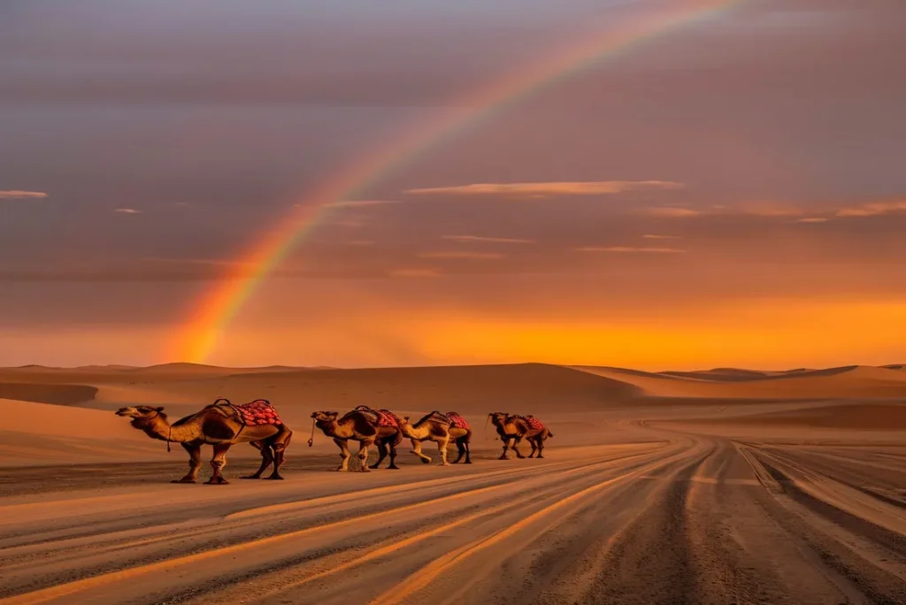 Rajasthan tour