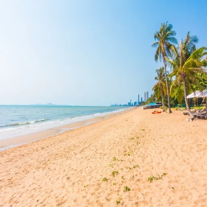 palm tree beach goa