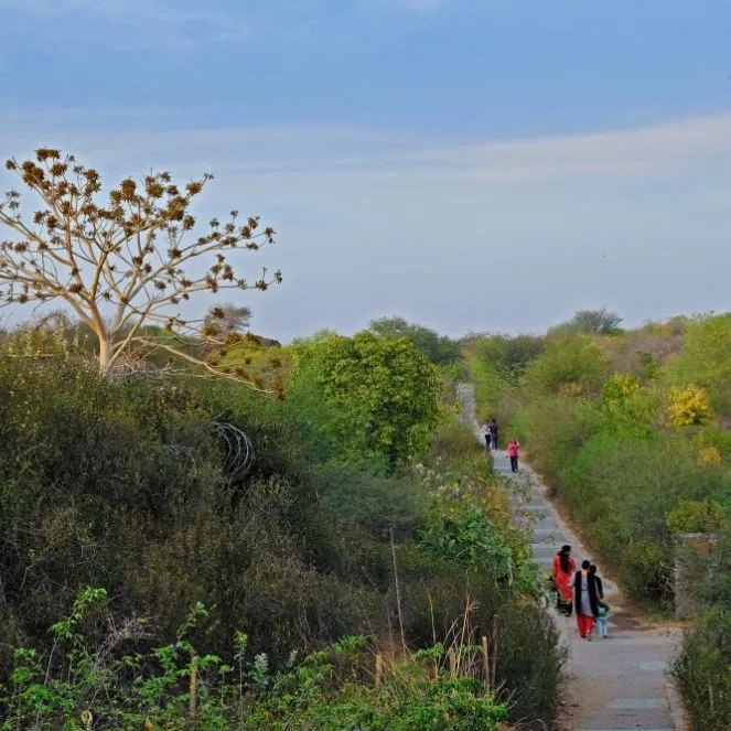 Aravalli Biodiversity Park Gurugram