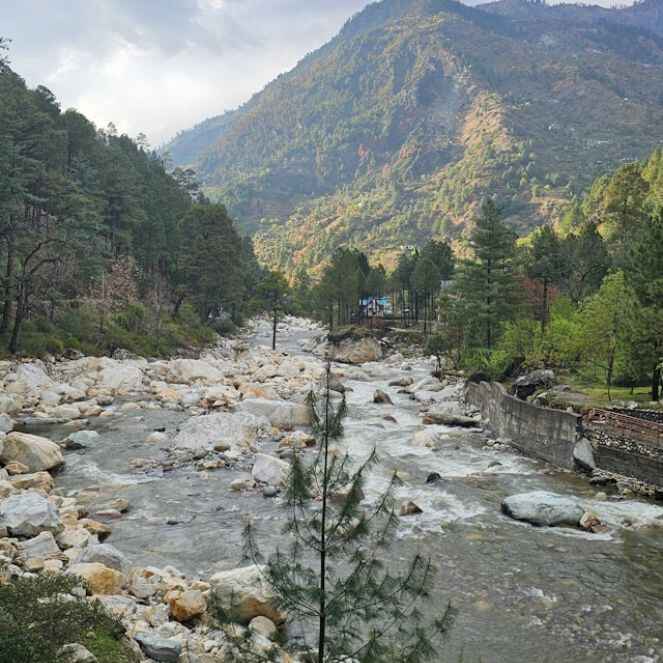 Tirthan Valley camping