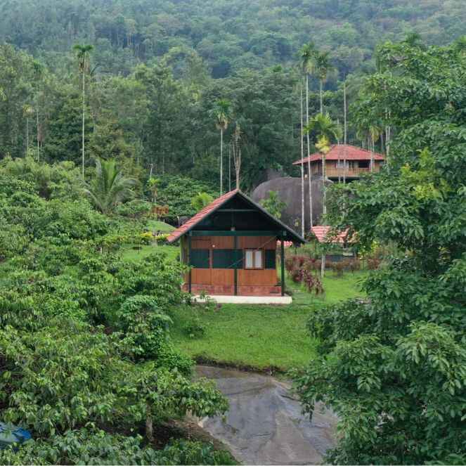 Wayanad camping