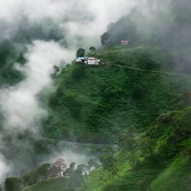 kasauli tour