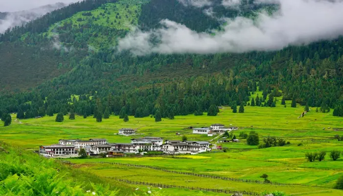 Ziro Valley